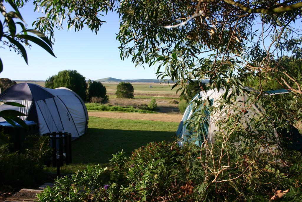 Millicent Hillview Caravan Park 외부 사진
