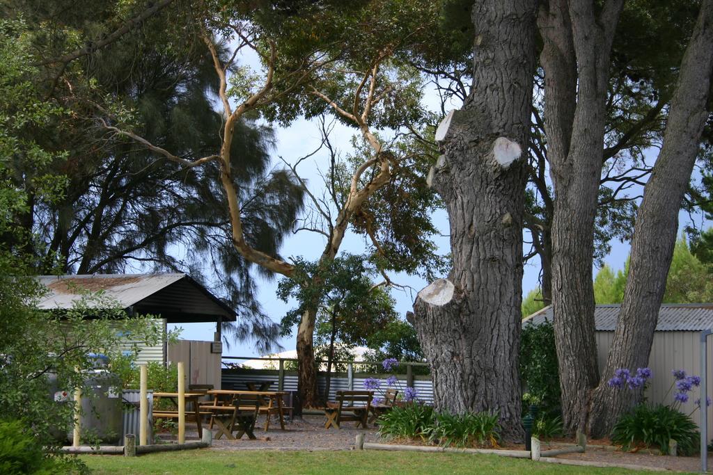 Millicent Hillview Caravan Park 외부 사진